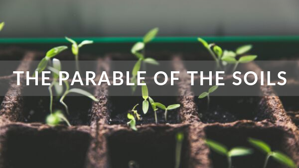 The Parable of the Soils